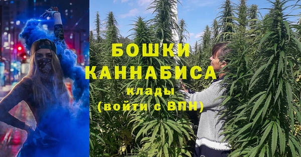 мдпв Навашино