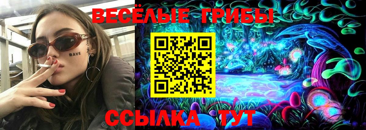 Псилоцибиновые грибы мицелий Балтийск